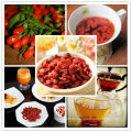 Super Grade Bio Goji Beeren, Ningxia Goji Beeren